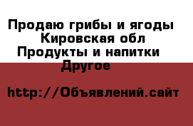 Продаю грибы и ягоды - Кировская обл. Продукты и напитки » Другое   